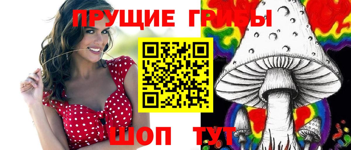 Псилоцибиновые грибы Psilocybine cubensis Бийск