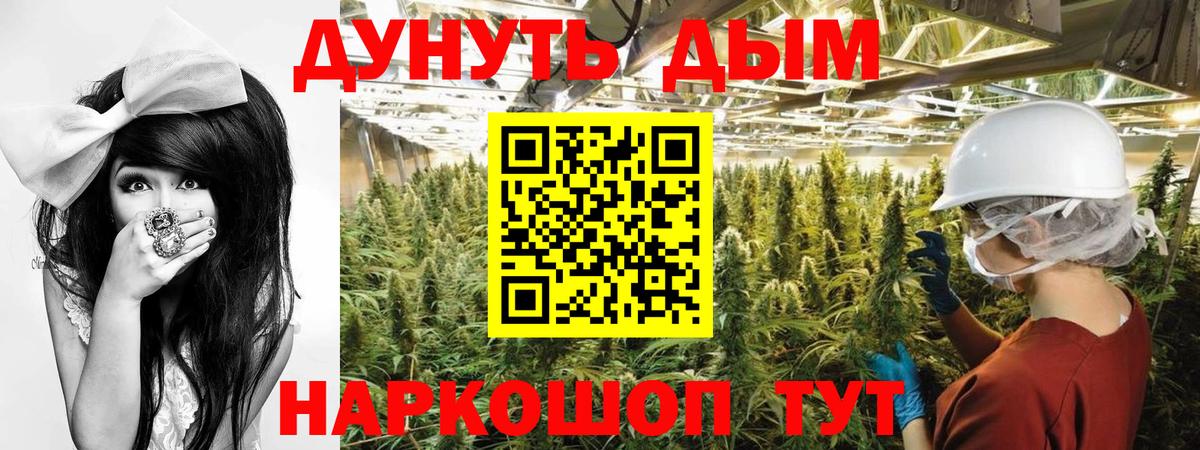 Бийск  Бошки Шишки марихуана  Бошки Шишки Amnesia  Вход с VPN  Каннабис тримм  Шишки марихуана план 